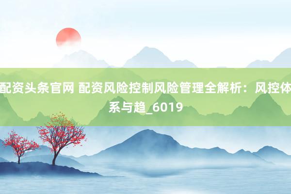 配资头条官网 配资风险控制风险管理全解析：风控体系与趋_6019