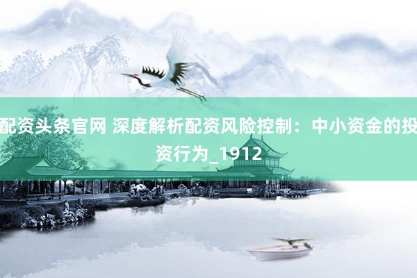 配资头条官网 深度解析配资风险控制：中小资金的投资行为_1912