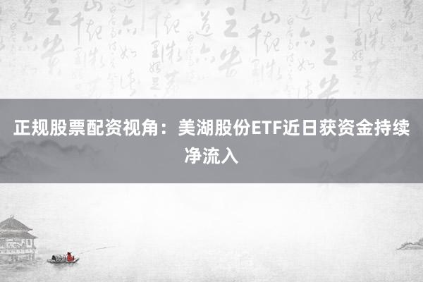 正规股票配资视角：美湖股份ETF近日获资金持续净流入