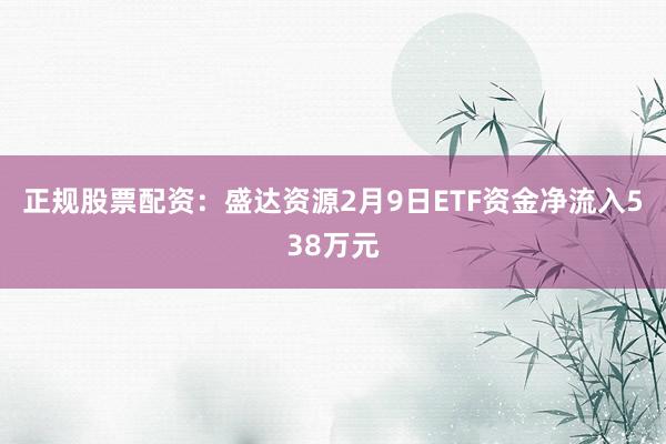 正规股票配资：盛达资源2月9日ETF资金净流入538万元