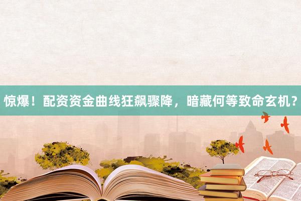 惊爆！配资资金曲线狂飙骤降，暗藏何等致命玄机？