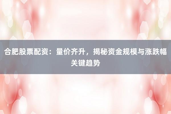 合肥股票配资：量价齐升，揭秘资金规模与涨跌幅关键趋势