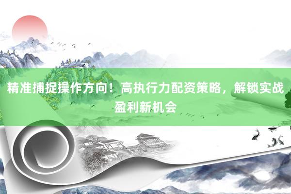 精准捕捉操作方向！高执行力配资策略，解锁实战盈利新机会