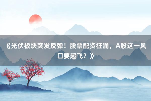 《光伏板块突发反弹！股票配资狂涌，A股这一风口要起飞？》