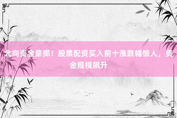 北向资金豪掷!股票配资买入前十涨跌幅惊人,资金规模飙升