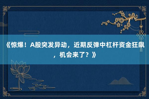 《惊爆！A股突发异动，近期反弹中杠杆资金狂飙，机会来了？》