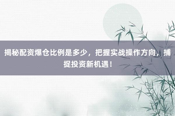 揭秘配资爆仓比例是多少,把握实战操作方向,捕捉投资新机遇!