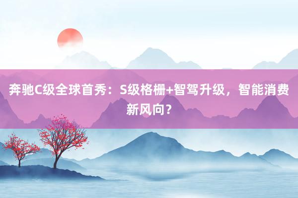 奔驰C级全球首秀：S级格栅+智驾升级，智能消费新风向？