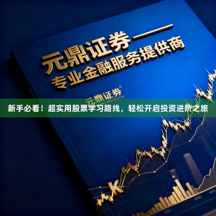 新手必看！超实用股票学习路线，轻松开启投资进阶之旅