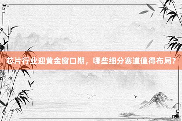 芯片行业迎黄金窗口期，哪些细分赛道值得布局？