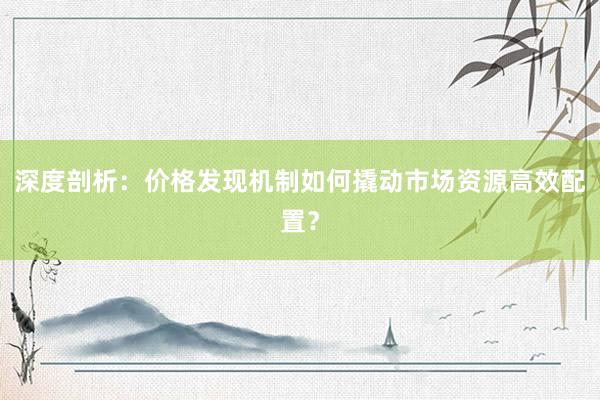 深度剖析：价格发现机制如何撬动市场资源高效配置？