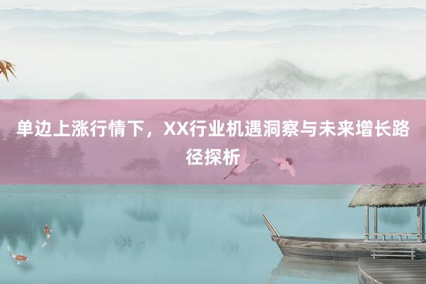 单边上涨行情下，XX行业机遇洞察与未来增长路径探析