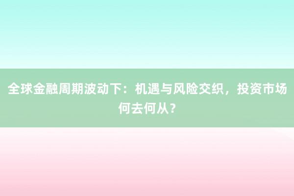 全球金融周期波动下：机遇与风险交织，投资市场何去何从？