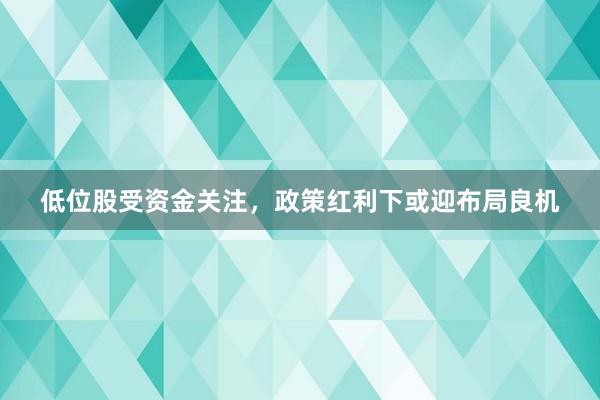 低位股受资金关注，政策红利下或迎布局良机