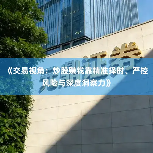 《交易视角：炒股赚钱靠精准择时、严控风险与深度洞察力》