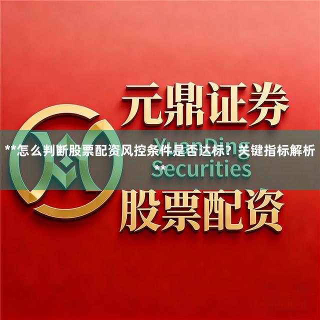 **怎么判断股票配资风控条件是否达标？关键指标解析**