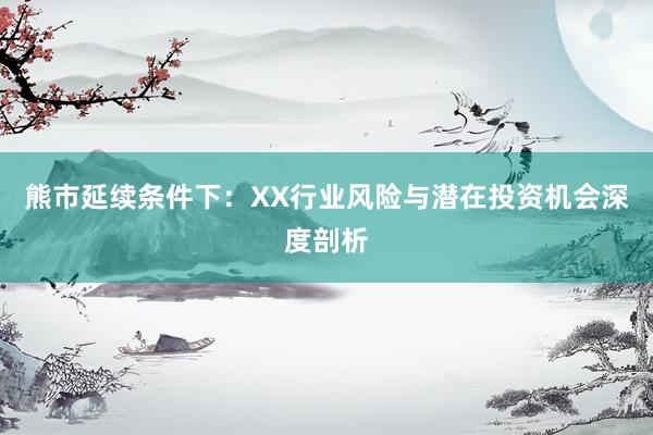熊市延续条件下：XX行业风险与潜在投资机会深度剖析