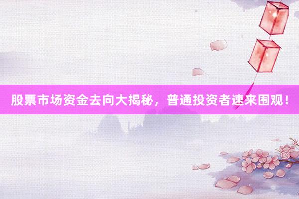 股票市场资金去向大揭秘，普通投资者速来围观！