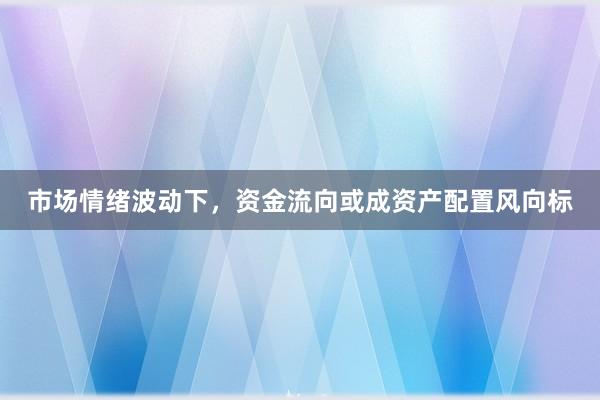 市场情绪波动下，资金流向或成资产配置风向标