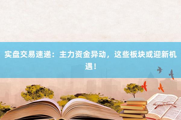 实盘交易速递：主力资金异动，这些板块或迎新机遇！