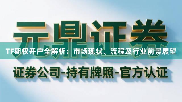 TF期权开户全解析：市场现状、流程及行业前景展望