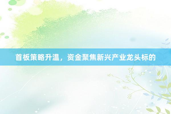 首板策略升温，资金聚焦新兴产业龙头标的
